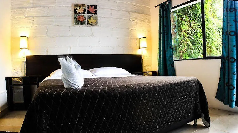 Maloka Hostel מדיין קולומביה